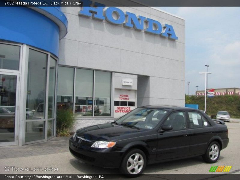 Black Mica / Gray 2002 Mazda Protege LX