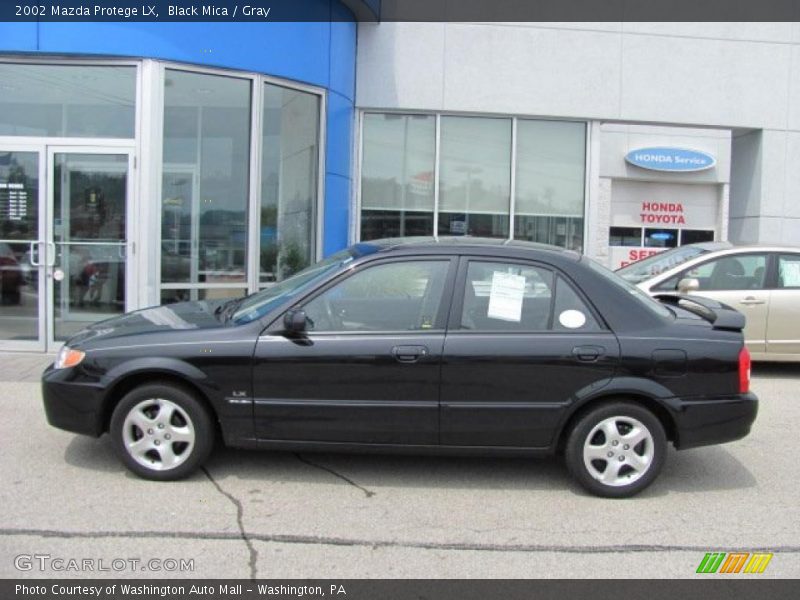 Black Mica / Gray 2002 Mazda Protege LX