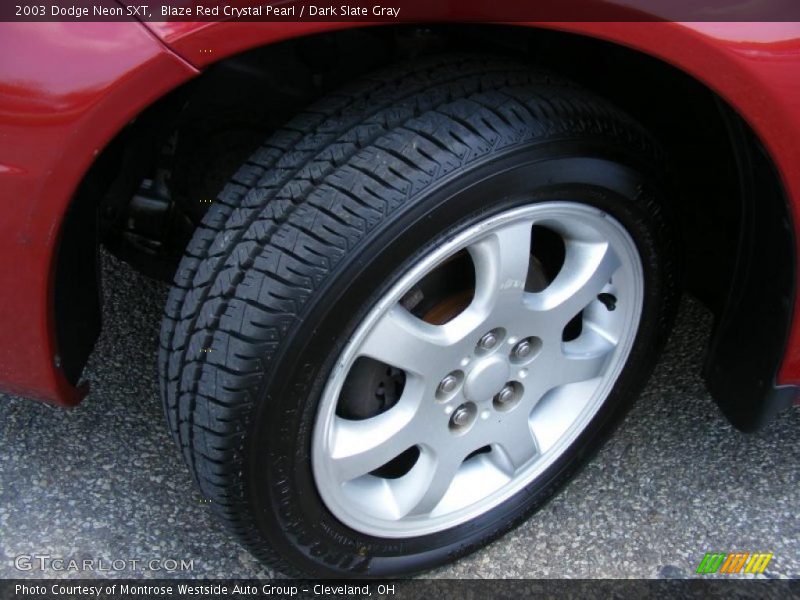 Blaze Red Crystal Pearl / Dark Slate Gray 2003 Dodge Neon SXT