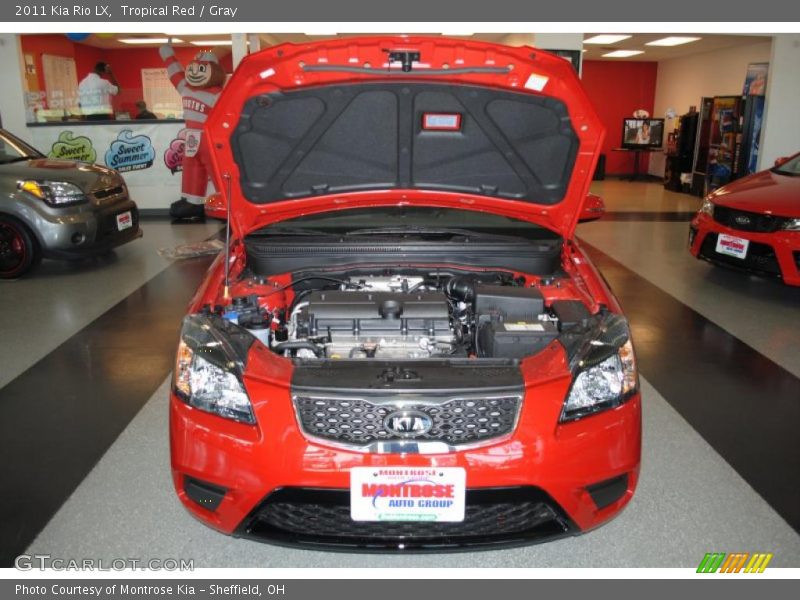 Tropical Red / Gray 2011 Kia Rio LX