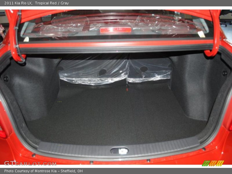 Tropical Red / Gray 2011 Kia Rio LX