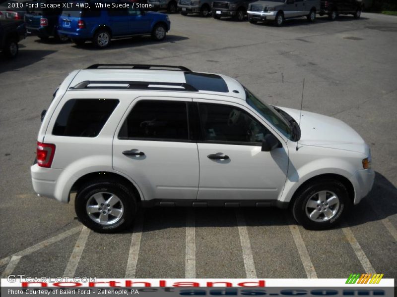 White Suede / Stone 2010 Ford Escape XLT 4WD