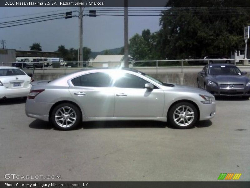 Radiant Silver / Charcoal 2010 Nissan Maxima 3.5 SV