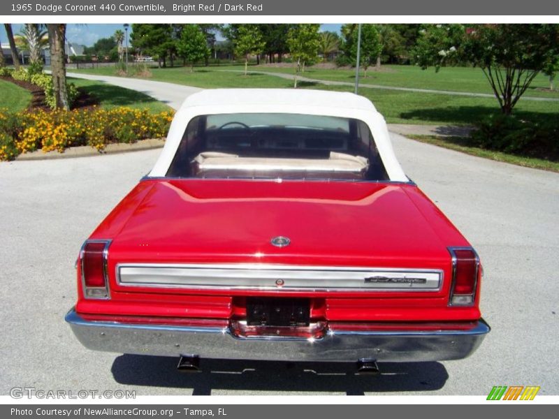 Bright Red / Dark Red 1965 Dodge Coronet 440 Convertible