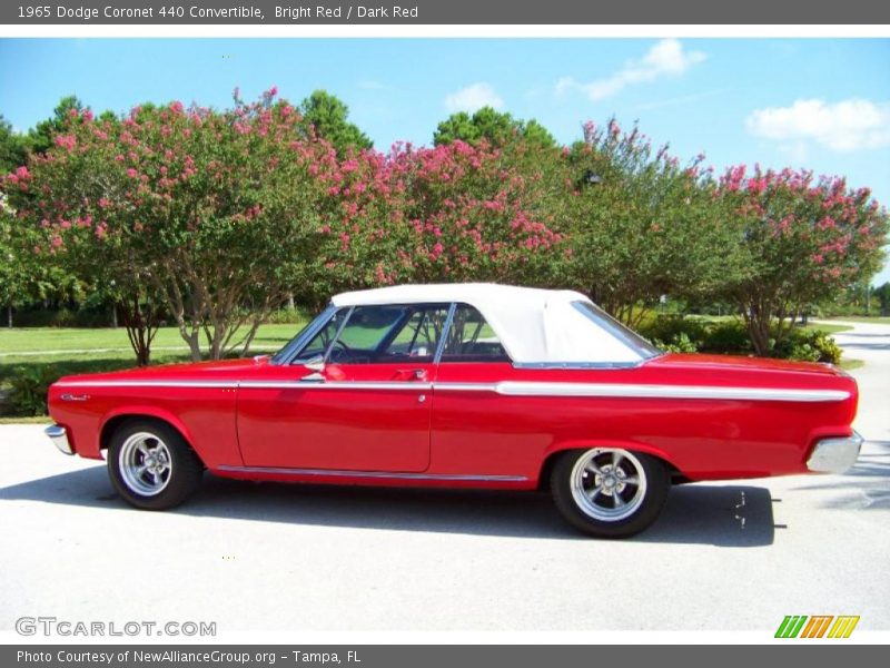 Bright Red / Dark Red 1965 Dodge Coronet 440 Convertible