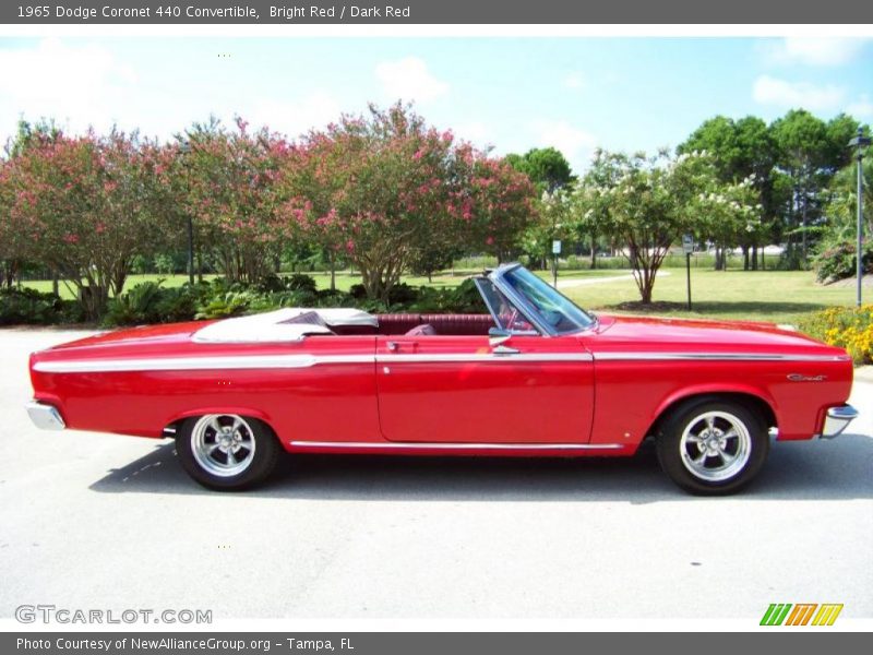 Bright Red / Dark Red 1965 Dodge Coronet 440 Convertible