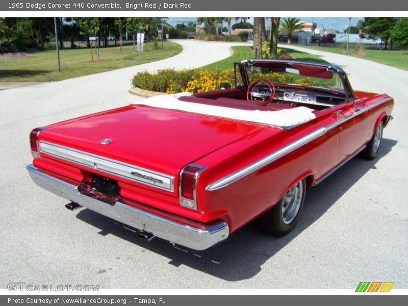 Bright Red / Dark Red 1965 Dodge Coronet 440 Convertible