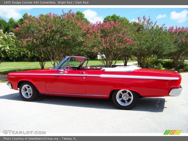Bright Red / Dark Red 1965 Dodge Coronet 440 Convertible