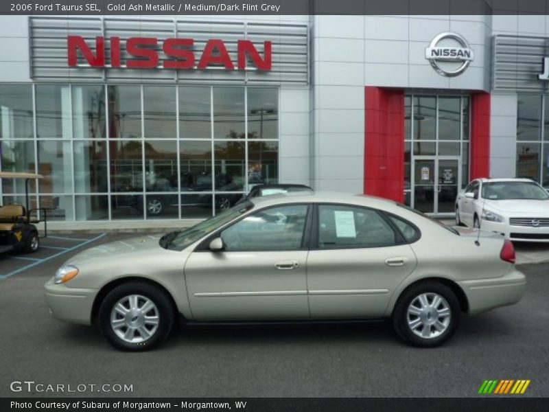 Gold Ash Metallic / Medium/Dark Flint Grey 2006 Ford Taurus SEL