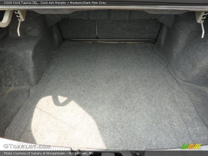 Gold Ash Metallic / Medium/Dark Flint Grey 2006 Ford Taurus SEL