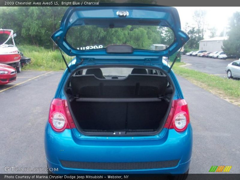 Bright Blue / Charcoal 2009 Chevrolet Aveo Aveo5 LS