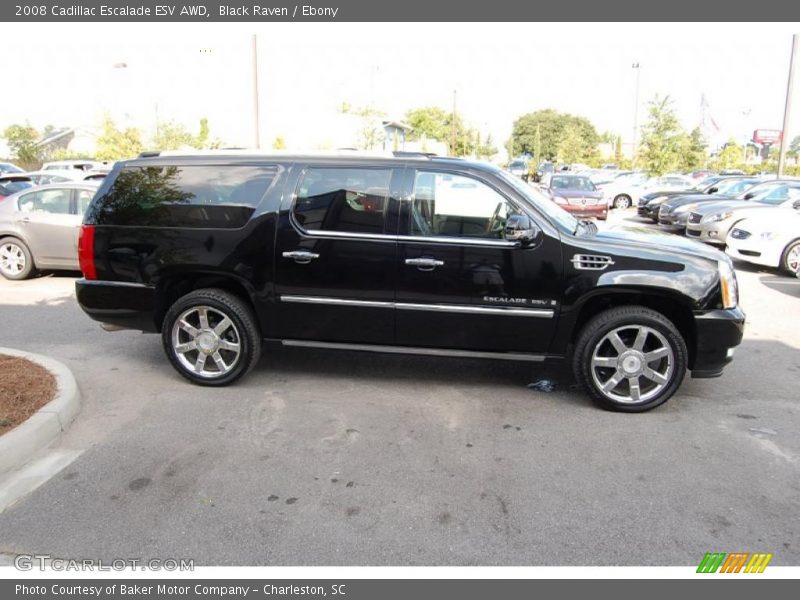 Black Raven / Ebony 2008 Cadillac Escalade ESV AWD