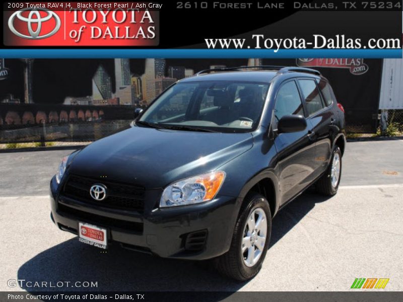 Black Forest Pearl / Ash Gray 2009 Toyota RAV4 I4
