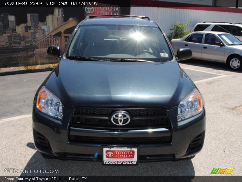 Black Forest Pearl / Ash Gray 2009 Toyota RAV4 I4
