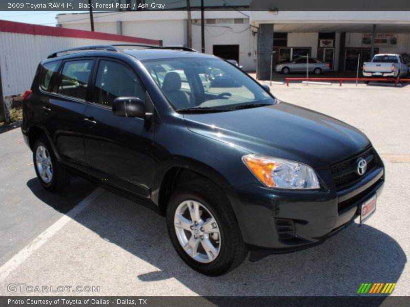 Black Forest Pearl / Ash Gray 2009 Toyota RAV4 I4