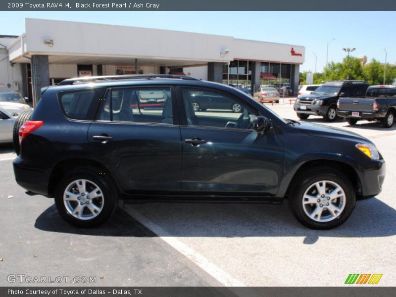 Black Forest Pearl / Ash Gray 2009 Toyota RAV4 I4