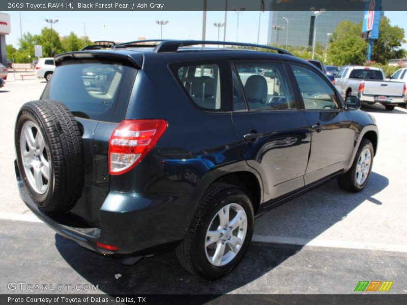 Black Forest Pearl / Ash Gray 2009 Toyota RAV4 I4