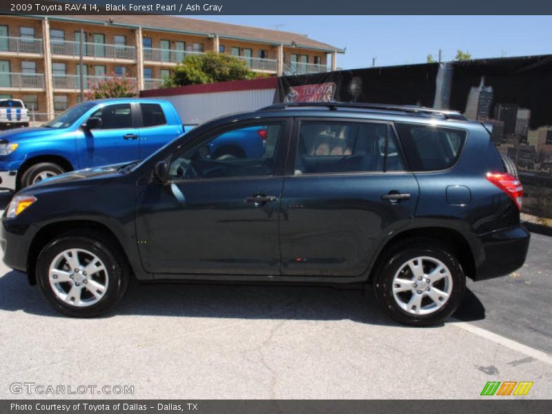Black Forest Pearl / Ash Gray 2009 Toyota RAV4 I4