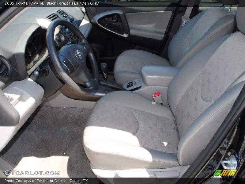 Black Forest Pearl / Ash Gray 2009 Toyota RAV4 I4