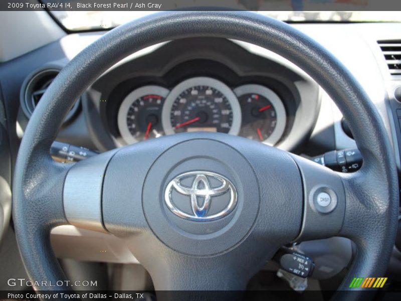 Black Forest Pearl / Ash Gray 2009 Toyota RAV4 I4