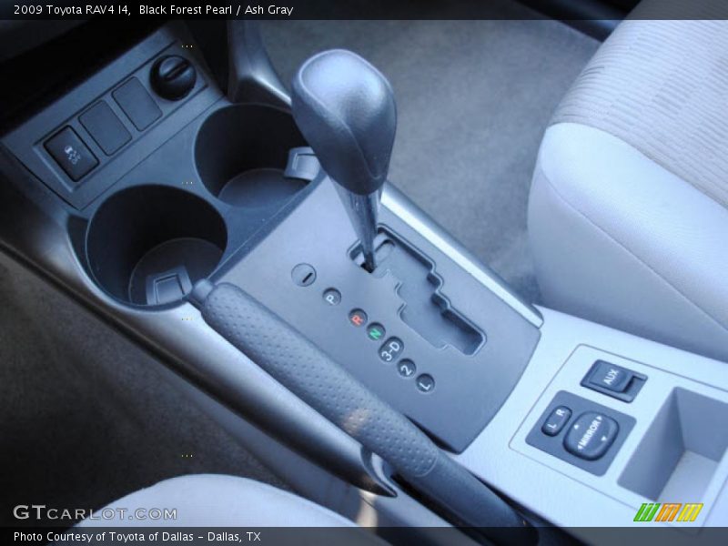 Black Forest Pearl / Ash Gray 2009 Toyota RAV4 I4