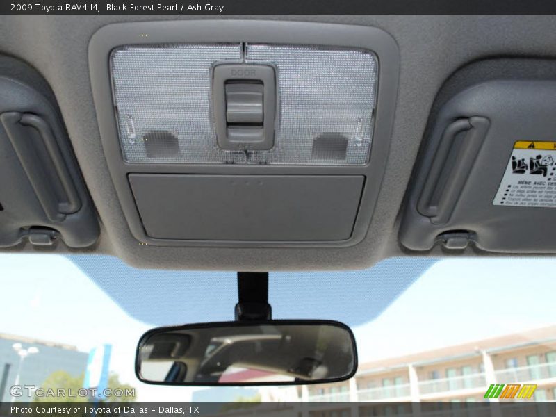 Black Forest Pearl / Ash Gray 2009 Toyota RAV4 I4