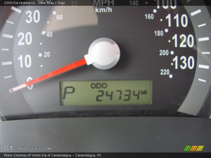 Olive Gray / Gray 2009 Kia Sedona LX