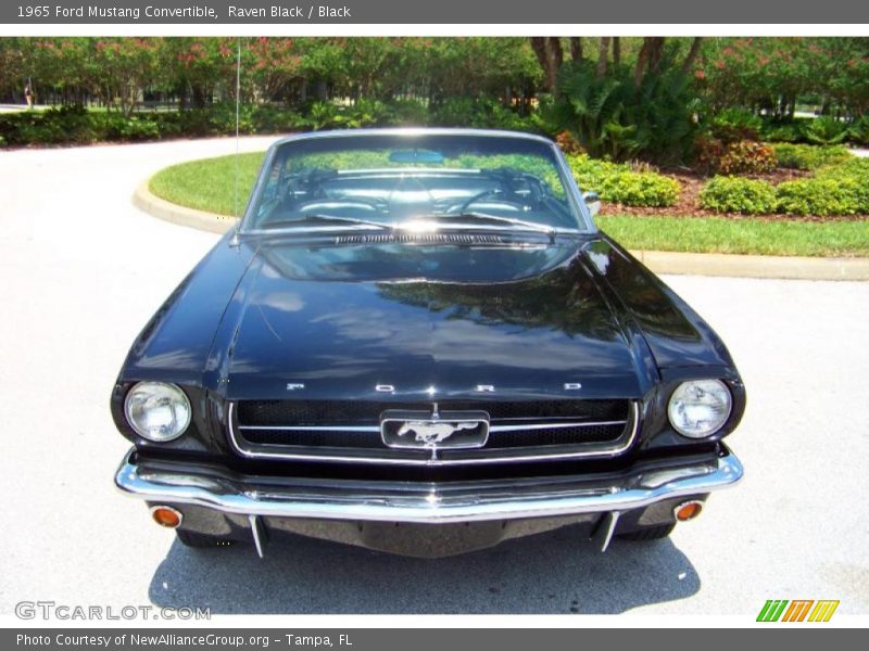 Raven Black / Black 1965 Ford Mustang Convertible