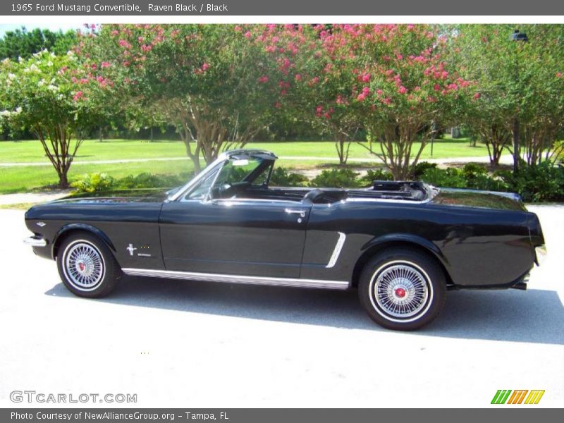 Raven Black / Black 1965 Ford Mustang Convertible