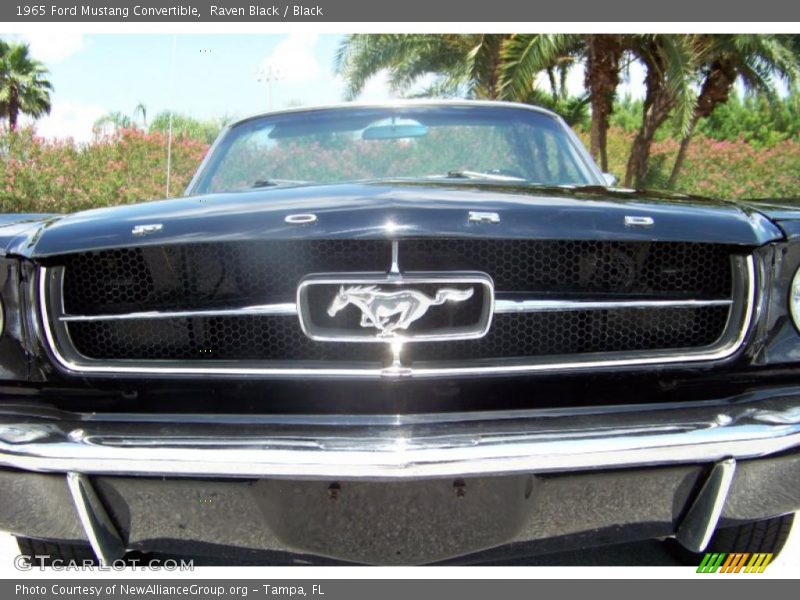 Raven Black / Black 1965 Ford Mustang Convertible