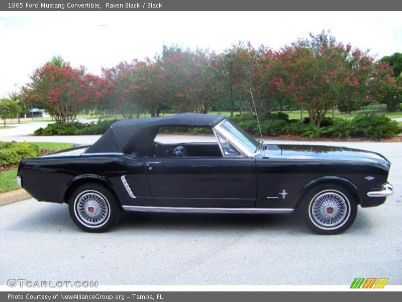 Raven Black / Black 1965 Ford Mustang Convertible