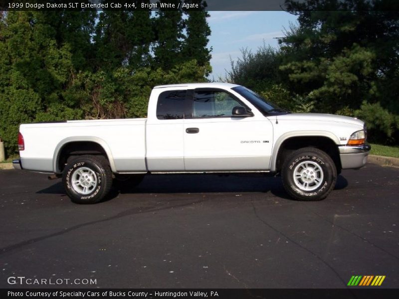 Bright White / Agate 1999 Dodge Dakota SLT Extended Cab 4x4