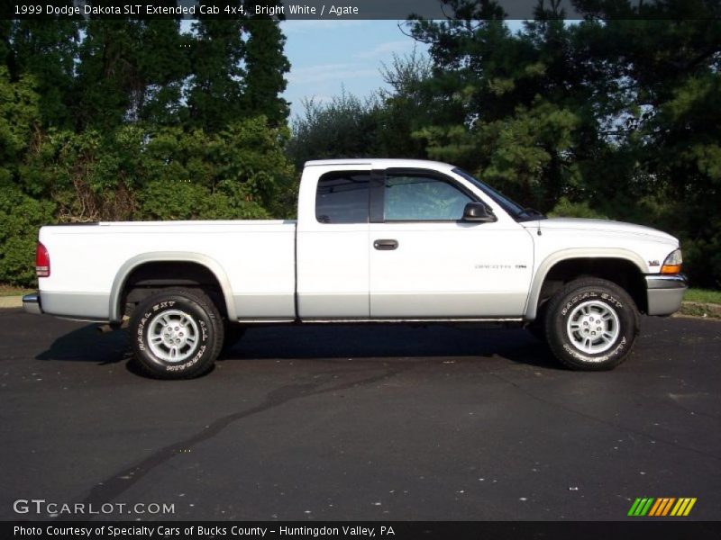 Bright White / Agate 1999 Dodge Dakota SLT Extended Cab 4x4