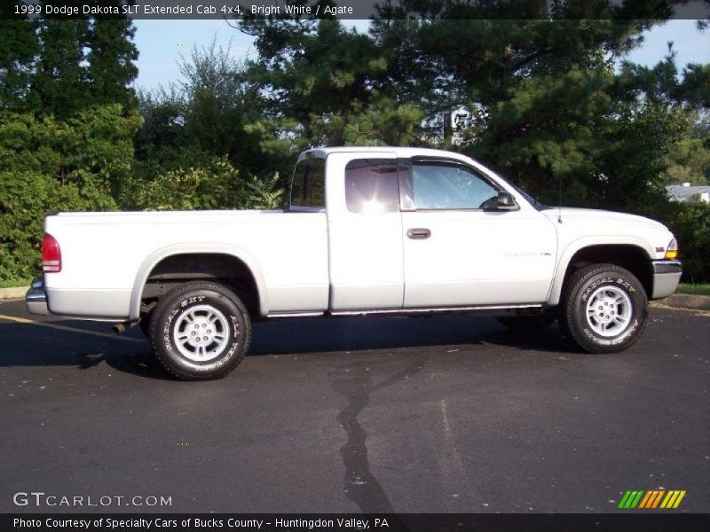 Bright White / Agate 1999 Dodge Dakota SLT Extended Cab 4x4
