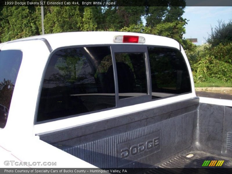 Bright White / Agate 1999 Dodge Dakota SLT Extended Cab 4x4