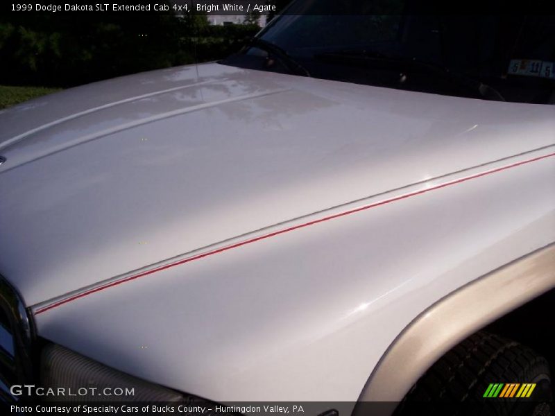 Bright White / Agate 1999 Dodge Dakota SLT Extended Cab 4x4