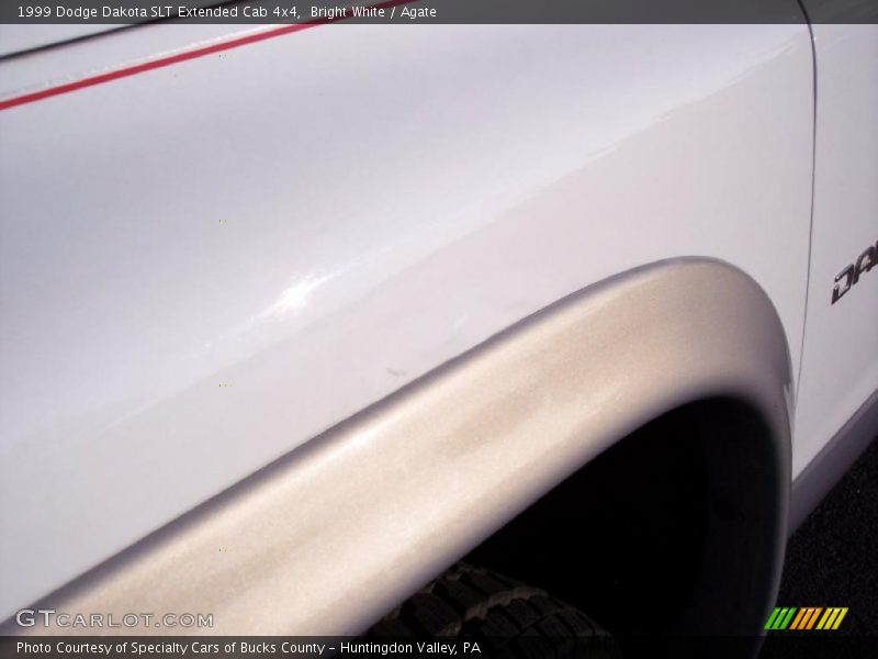 Bright White / Agate 1999 Dodge Dakota SLT Extended Cab 4x4