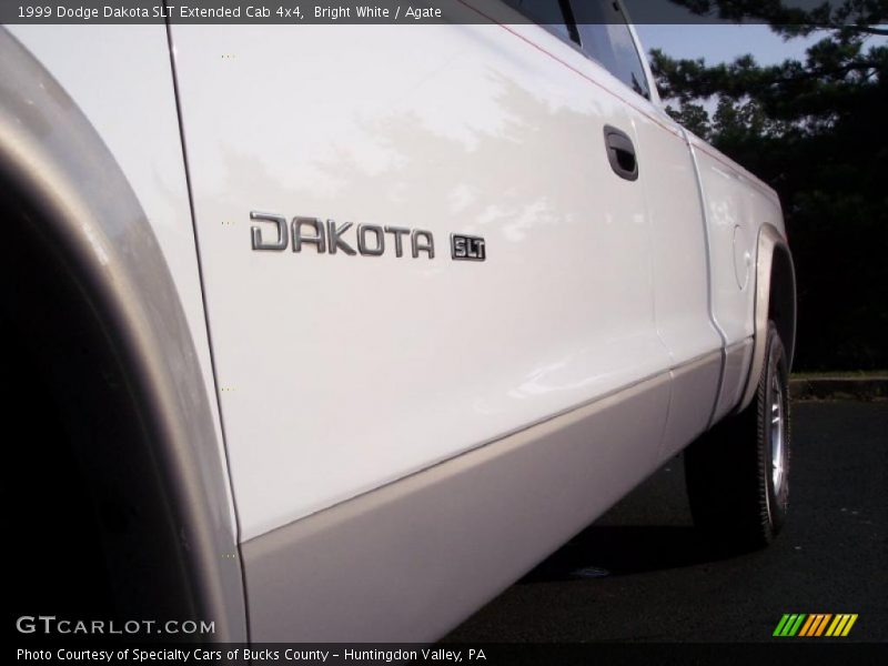 Bright White / Agate 1999 Dodge Dakota SLT Extended Cab 4x4