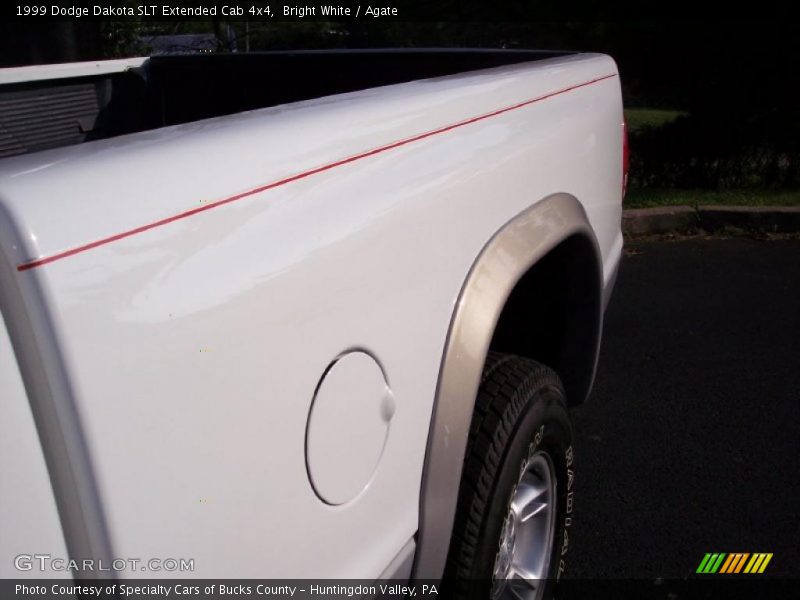 Bright White / Agate 1999 Dodge Dakota SLT Extended Cab 4x4