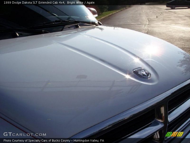 Bright White / Agate 1999 Dodge Dakota SLT Extended Cab 4x4