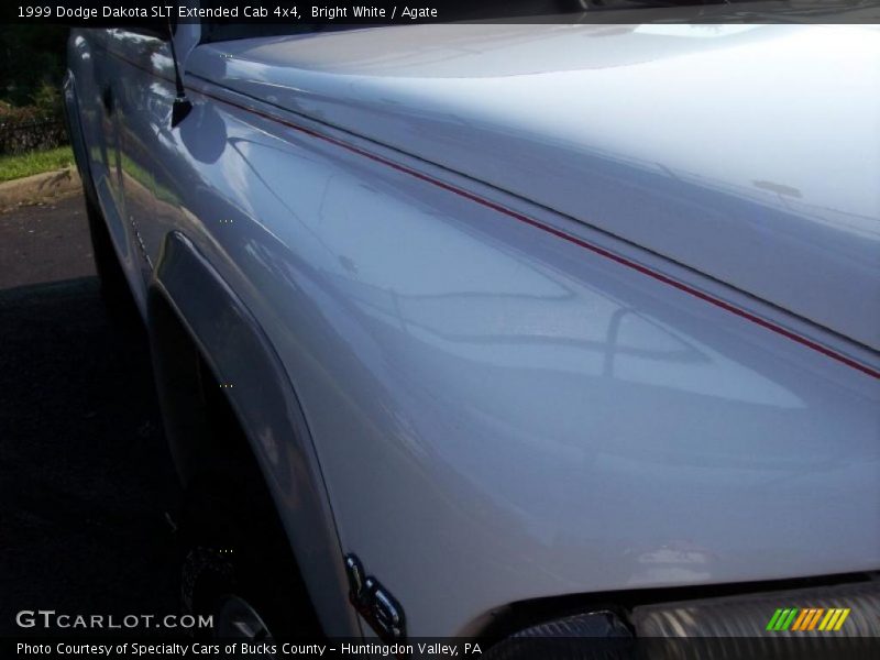 Bright White / Agate 1999 Dodge Dakota SLT Extended Cab 4x4