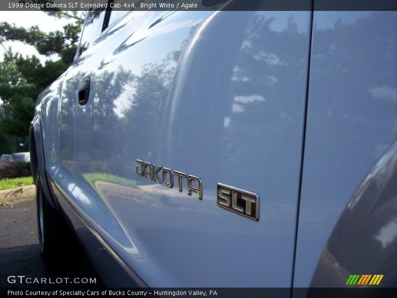 Bright White / Agate 1999 Dodge Dakota SLT Extended Cab 4x4
