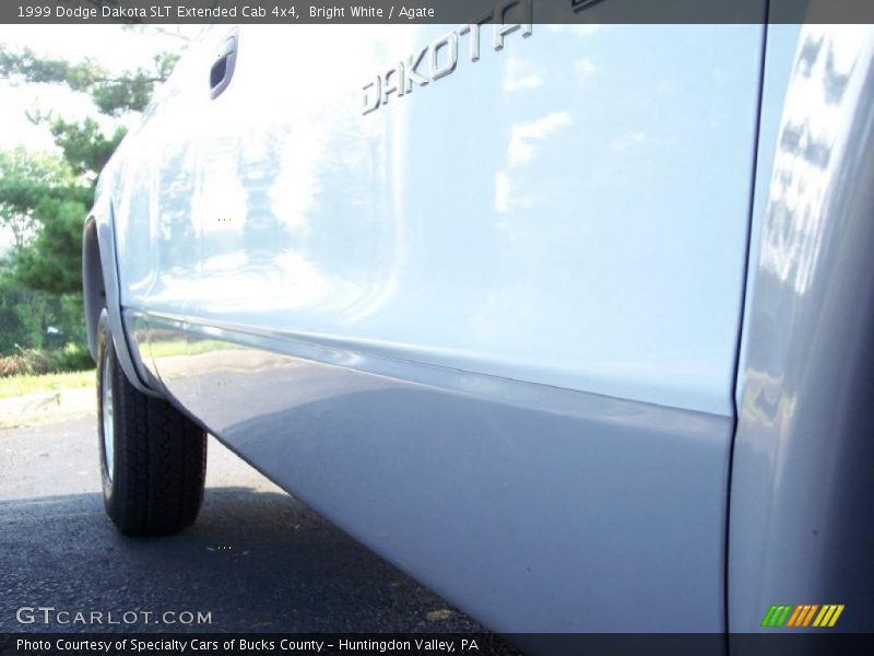 Bright White / Agate 1999 Dodge Dakota SLT Extended Cab 4x4