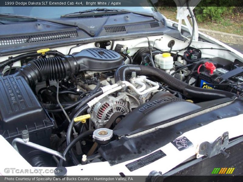 Bright White / Agate 1999 Dodge Dakota SLT Extended Cab 4x4