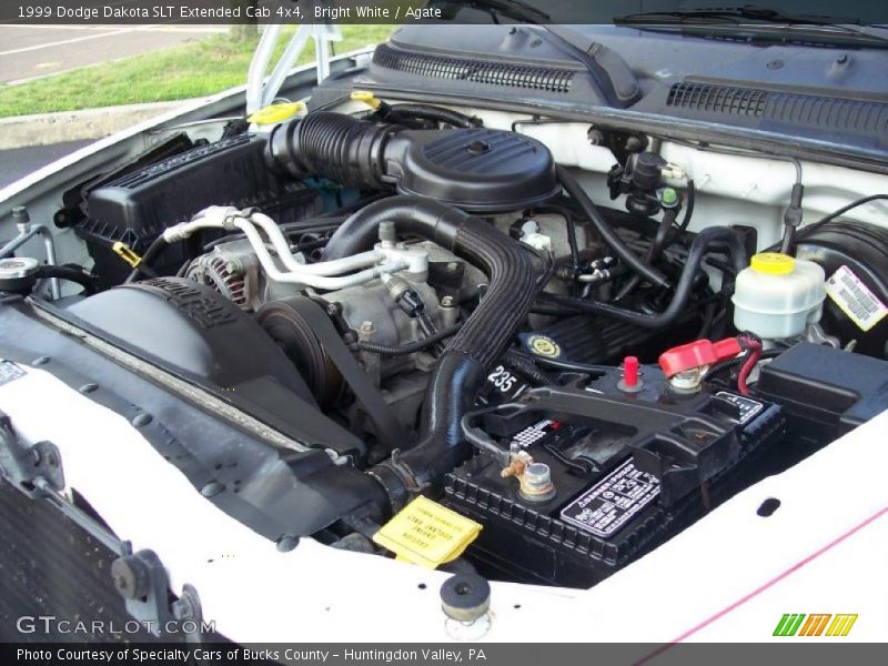 Bright White / Agate 1999 Dodge Dakota SLT Extended Cab 4x4