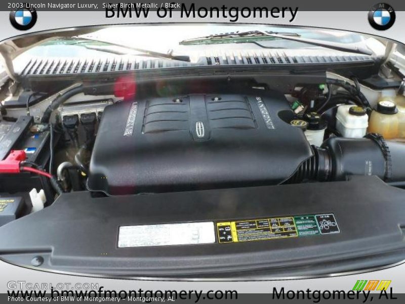 Silver Birch Metallic / Black 2003 Lincoln Navigator Luxury