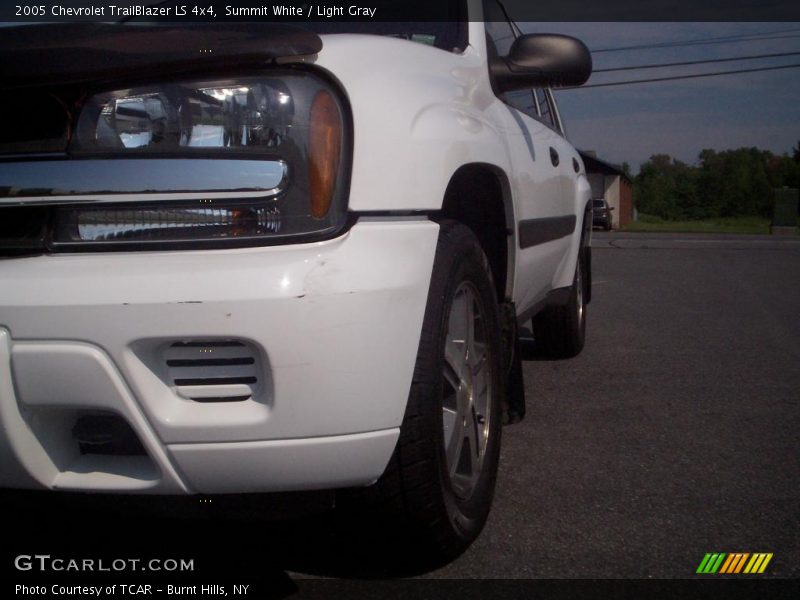 Summit White / Light Gray 2005 Chevrolet TrailBlazer LS 4x4