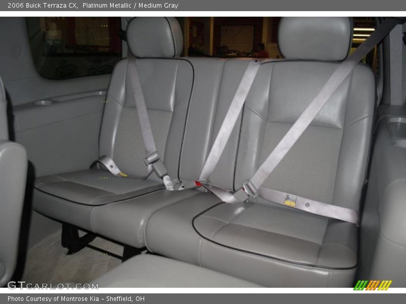 Platinum Metallic / Medium Gray 2006 Buick Terraza CX