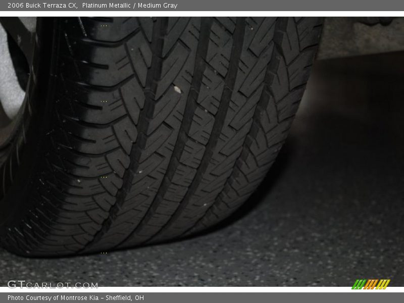 Platinum Metallic / Medium Gray 2006 Buick Terraza CX