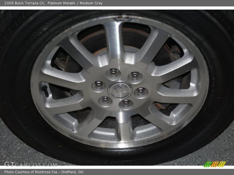 Platinum Metallic / Medium Gray 2006 Buick Terraza CX